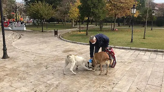 Milas Belediyesi Minik Dostlarımızın Yanında