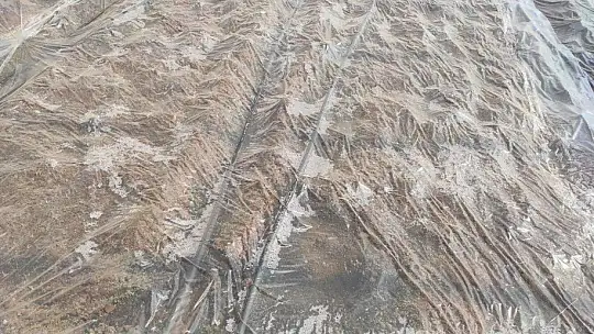 Fethiye ve Seydikemer'de seralar sezona hazırlanıyor