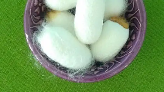 4 yaşındaki Deniz'in ipek böcekleri ile dostluğu görenleri gülümsetiyor