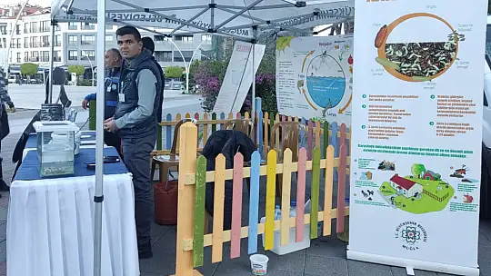 SİVRİSİNEK VE HAŞERELERE KARŞI MÜCADELE STANDI KURULDU