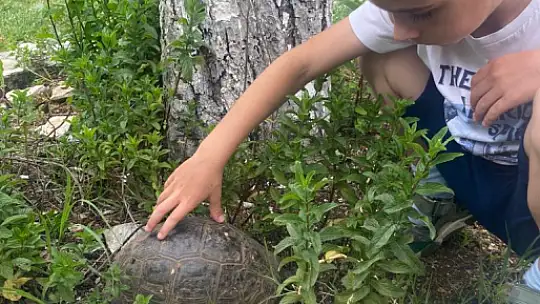 Jandarma'dan Özel Çocuklara, Özel İlgi