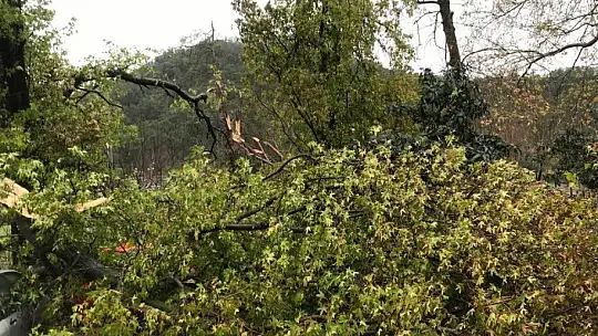 Fethiye'de etkili yağış