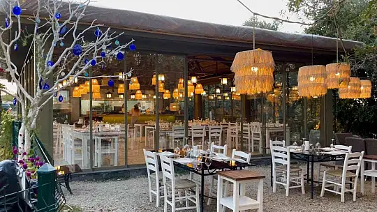 500 yıllık meşe ağacı, gurmelere kışın da ev sahipliği yapıyor