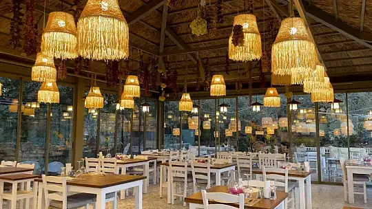 500 yıllık meşe ağacı, gurmelere kışın da ev sahipliği yapıyor