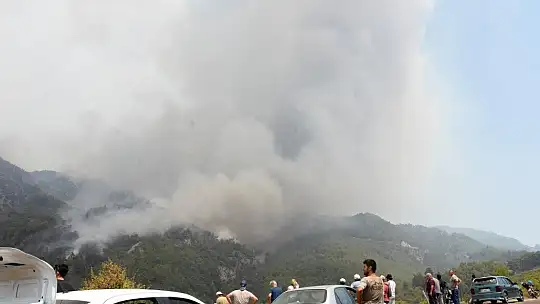 6 bin hektarın küle döndüğü Köyceğiz'de yangın devam ediyor