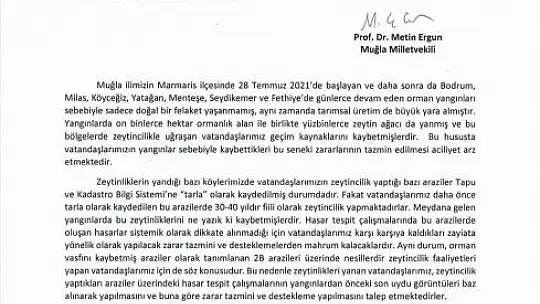 Ergun, 'Yüz binlerce zeytin ağacı yandı'