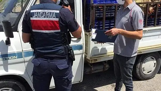 Fethiye'de çiftçilere verilen izin belgeleri kontrol edildi