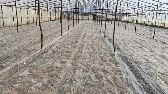 Fethiye ve Seydikemer'de seralar sezona hazırlanıyor