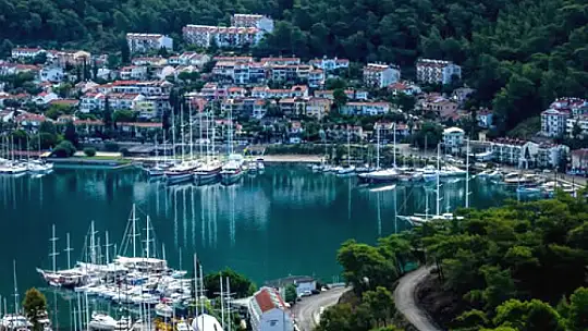 KİPER, 'ÜÇ, DÖRT ÇİFT SU SAMURU KALDI'