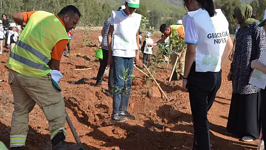 Milli Ağaçlandırma Günü'nde 2023 fidan dikildi