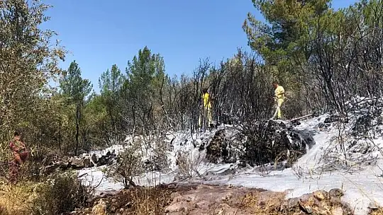 Yangın hızlı müdahale ile kontrol altına alındı