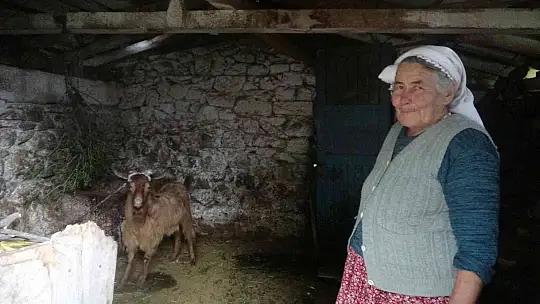 82 yaşındaki Fedai amca yanan ormanlar için şiir yazdı