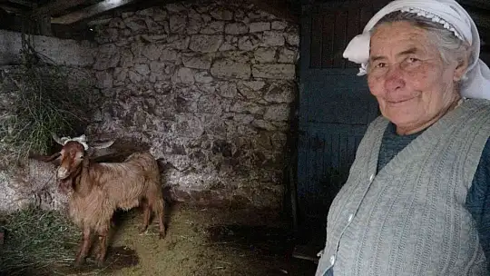 82 yaşındaki Fedai amca yanan ormanlar için şiir yazdı