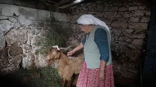 82 yaşındaki Fedai amca yanan ormanlar için şiir yazdı