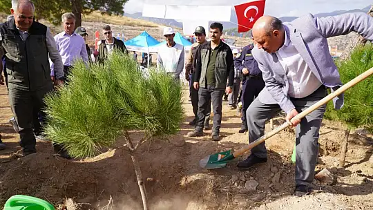 Seydikemer'de 100. Yıl Cumhuriyet Ormanları Oluşturuldu