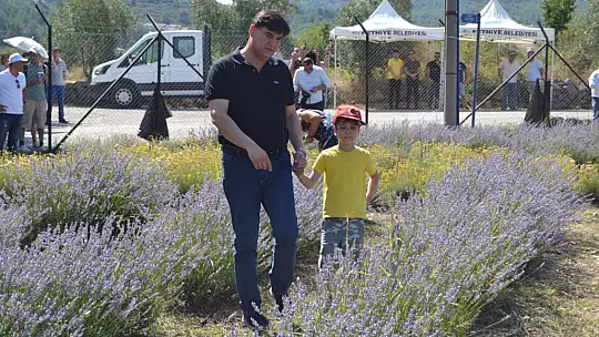 Lavanta Bahçesinde Üçüncü Hasat Alındı