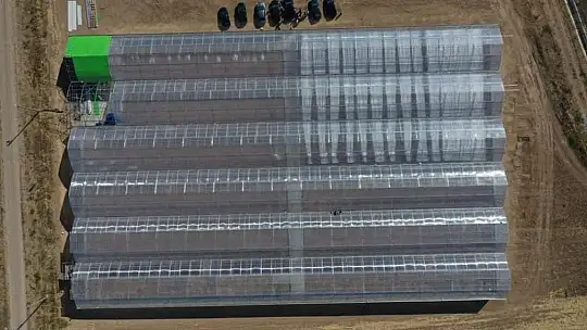 Fethiye'nin ihracat rekortmeni Ölüdeniz Sistem Sera! 