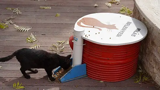 Milas Belediyesi Minik Dostlarımızın Yanında