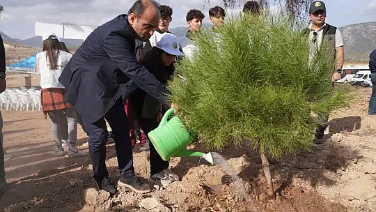Seydikemer'de 100. Yıl Cumhuriyet Ormanları Oluşturuldu