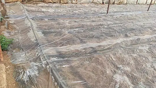 Fethiye ve Seydikemer'de seralar sezona hazırlanıyor