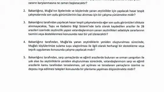 Ergun, 'Yüz binlerce zeytin ağacı yandı'