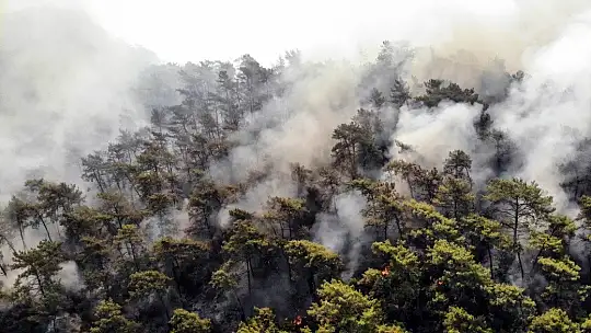 Acı tablo havadan görüntülendi, her yeri kaplayan dumanlar yürekleri dağlıyor