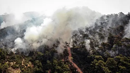 Acı tablo havadan görüntülendi, her yeri kaplayan dumanlar yürekleri dağlıyor