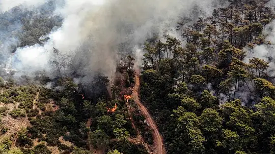 Acı tablo havadan görüntülendi, her yeri kaplayan dumanlar yürekleri dağlıyor
