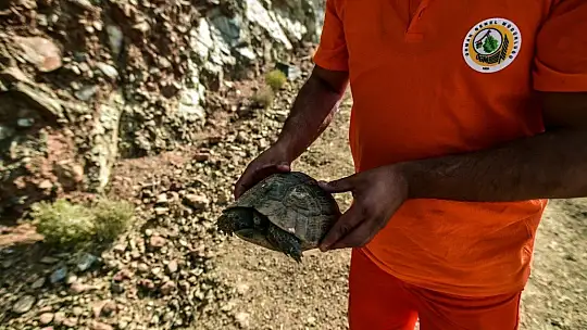 Acı tablo havadan görüntülendi, her yeri kaplayan dumanlar yürekleri dağlıyor