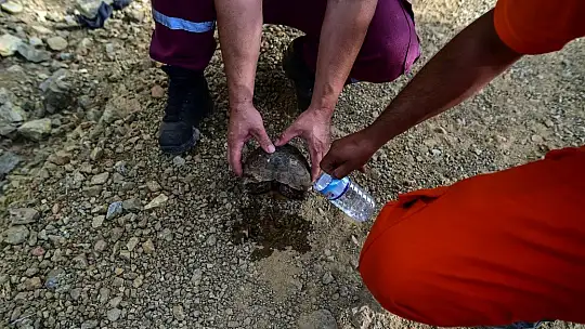 Acı tablo havadan görüntülendi, her yeri kaplayan dumanlar yürekleri dağlıyor