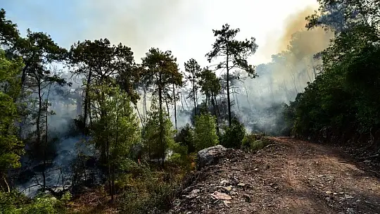 Acı tablo havadan görüntülendi, her yeri kaplayan dumanlar yürekleri dağlıyor