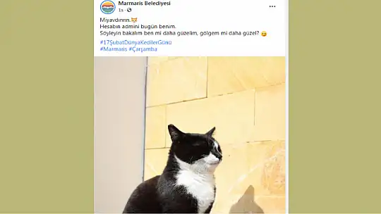 Marmaris Belediyesi'nin sosyal medya hesabı hacklandi mi?