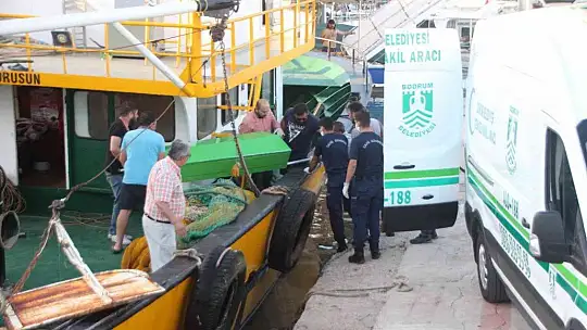 Ağ çekerken fenalaşarak hayatını kaybetti