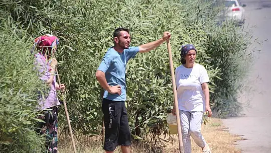 Ağaçlık alandaki yangın konteyner eve sıçradı