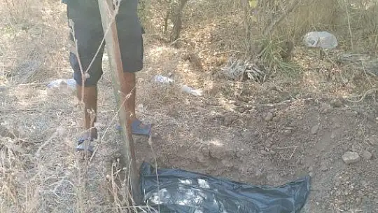 Ağzında poşetle kıyıya vurdu