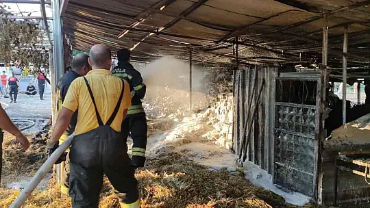 Ahır yangınında ticari araç küle döndü, 8 hayvan alevlerden zarar gördü
