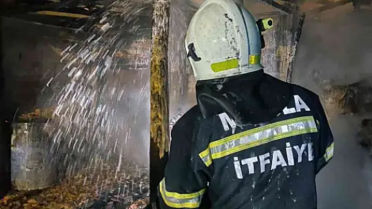 AHIRDA ÇIKAN YANINDA 3 BÜYÜKBAŞ HAYVAN TELEF OLDU