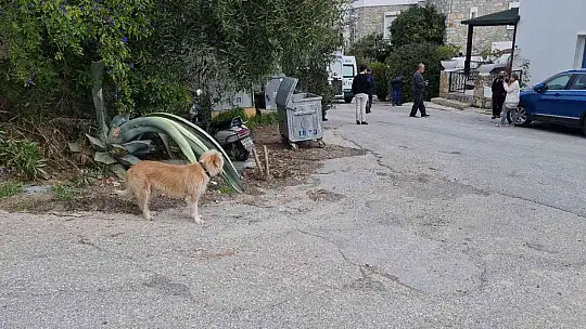 Akrep Nalan'ın cenaze programı belli oldu