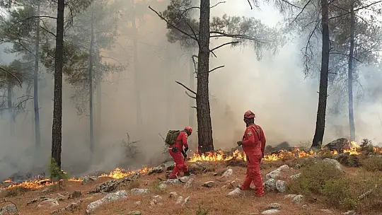 AKUT, Muğla'dan sonra Aydın Çine'de orman yangınlarına müdahale için operasyonda