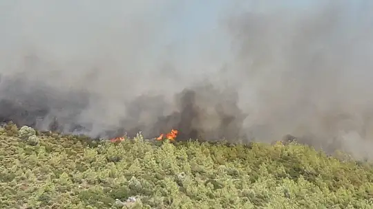 Alevler, Bodrum'un son kalesi Kisebükü'ye ulaştı
