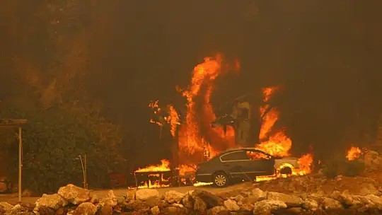 Alevler Çökertme koyuna dayandı
