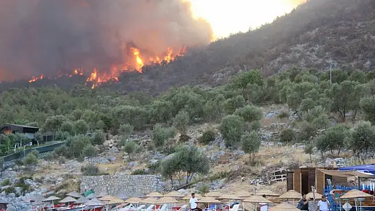 Alevler Çökertme koyuna dayandı