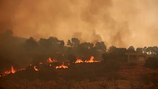 Alevler Çökertme koyuna dayandı