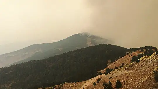 Alevler TRT vericilerine 500 metre yaklaştı