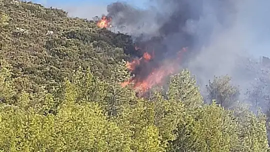 Alevlere havadan müdahale yoğun bir şekilde devam ediyor