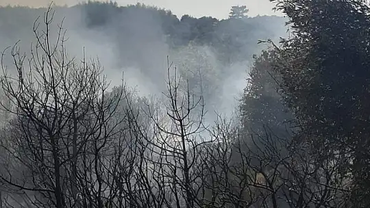 Alevlere havadan müdahale yoğun bir şekilde devam ediyor