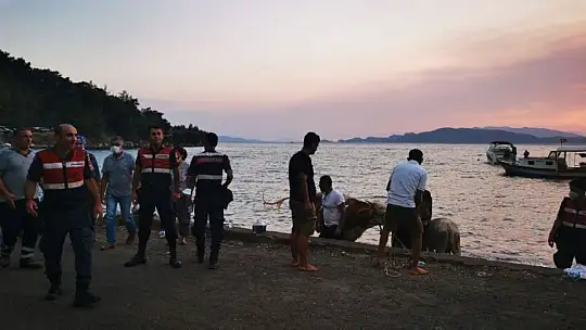 Alevlere teslim olan Marmaris'te göz yaşartan görüntüler