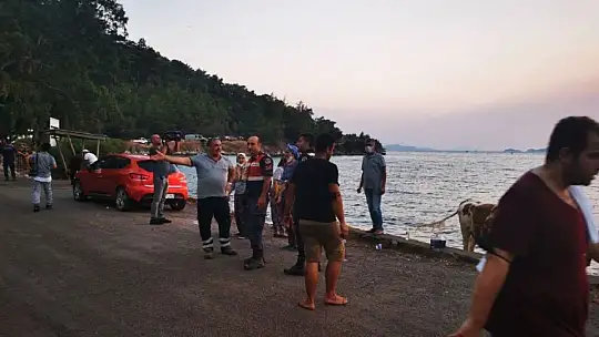 Alevlere teslim olan Marmaris'te göz yaşartan görüntüler