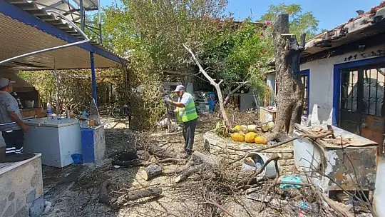 Alevlere teslim olan Mazı Mahallesi havadan görüntülendi