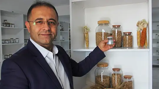 Altından bile değerli 7 bin yıllık tohumlar, Bodrum'da başak verecek